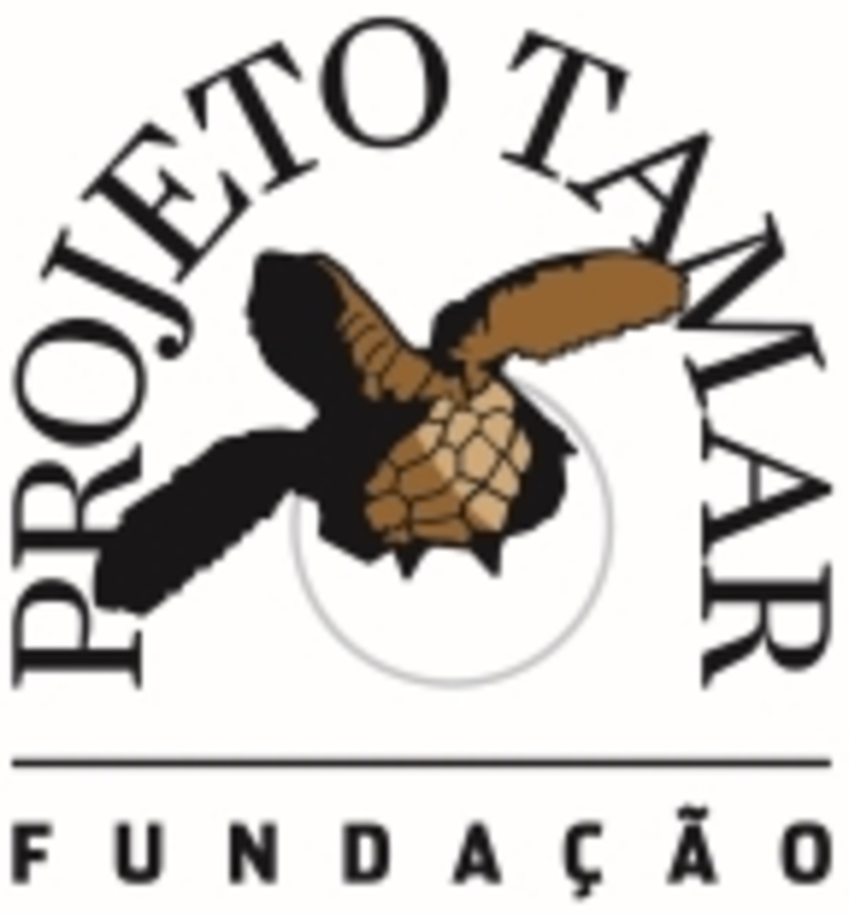 Fundação Projeto TAMAR, Brazil