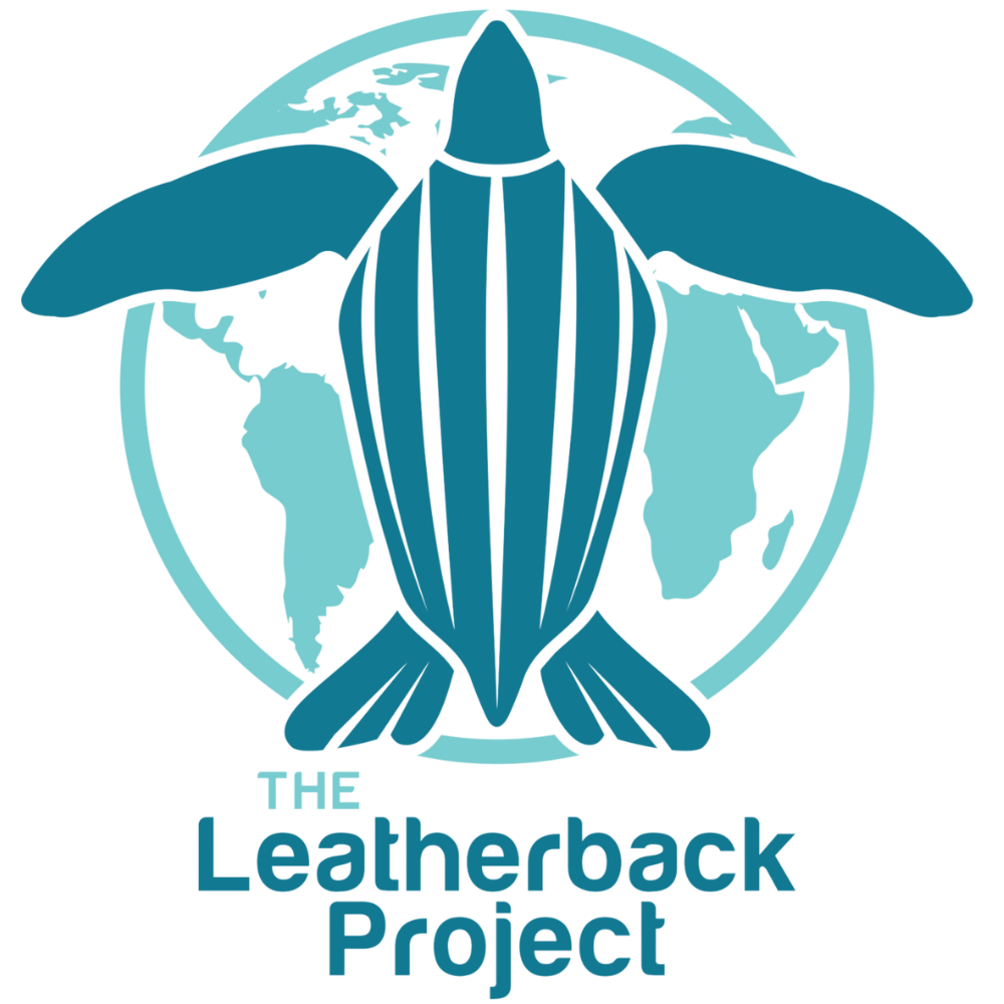 The Leatherback Project