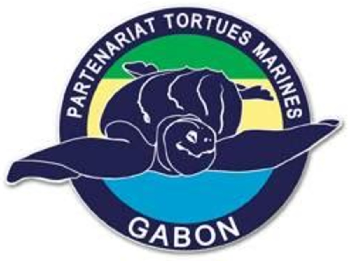 Partenariat pour les Tortues Marines du Gabon
