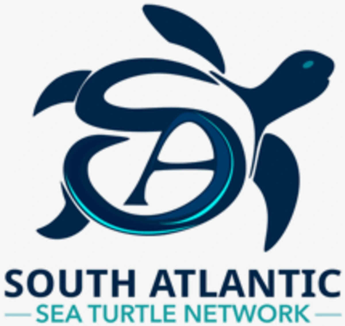 South Atlantic Sea Turtle Network